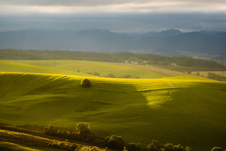 Ekovib | Environmentálne poradenstvo